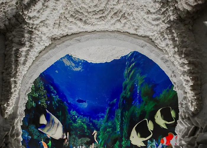 索菲亚酒店 4* 波利亚纳