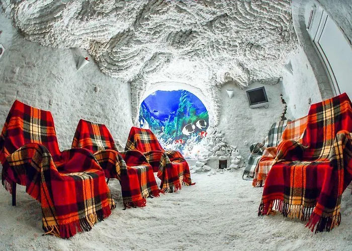 酒店 索菲亚酒店 4*